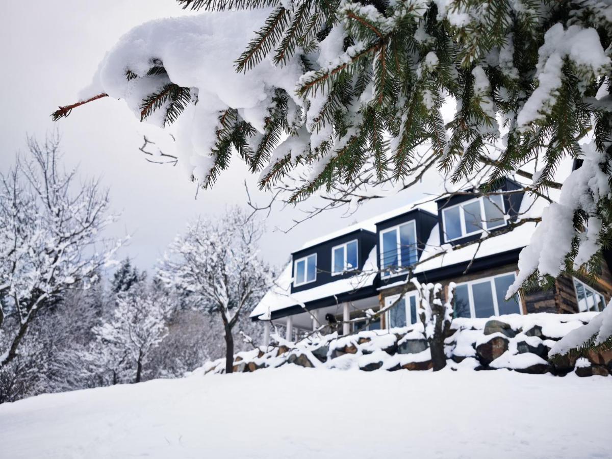 Vila Doinita House Borşa Exteriér fotografie