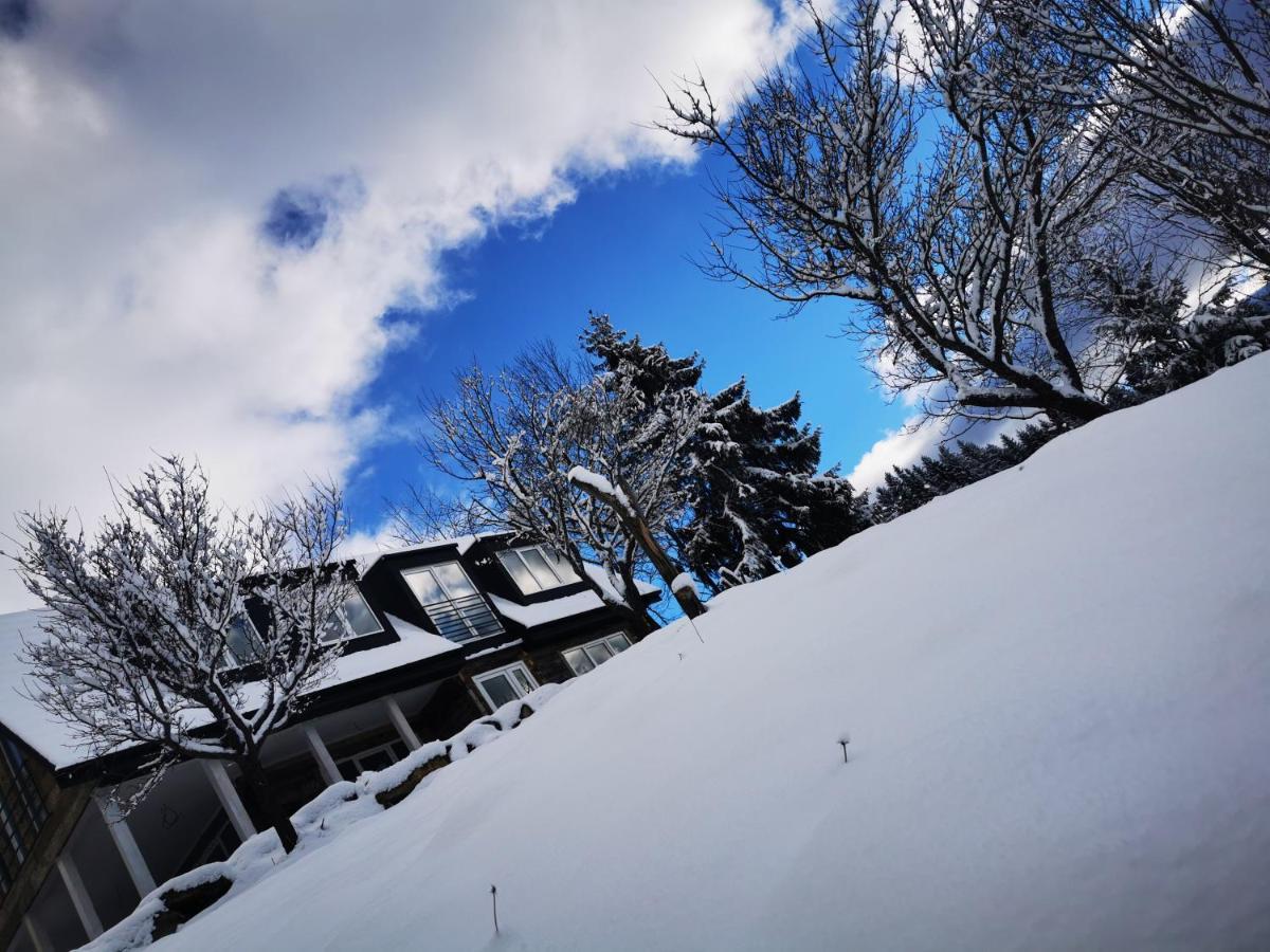 Vila Doinita House Borşa Exteriér fotografie