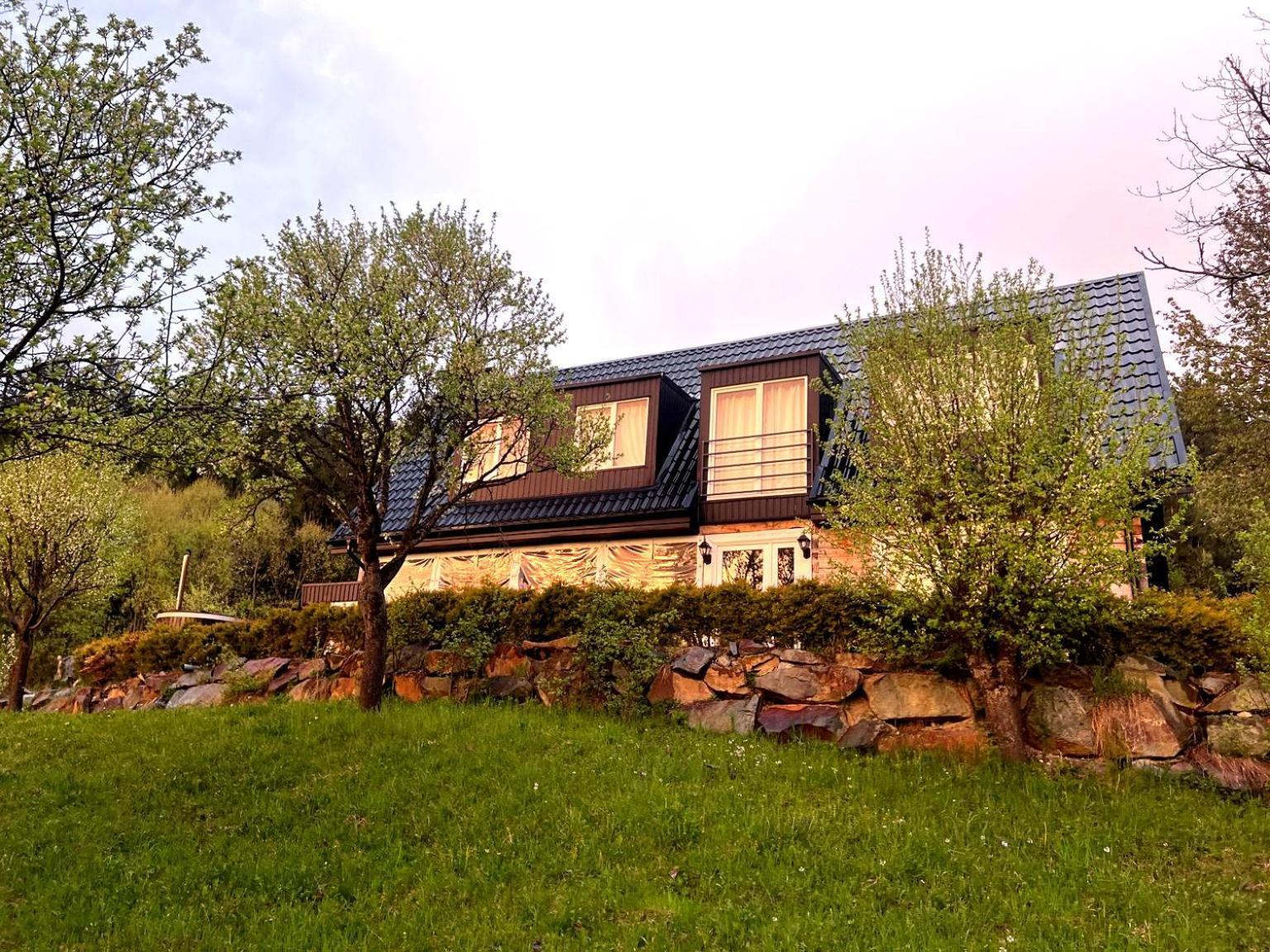 Vila Doinita House Borşa Exteriér fotografie