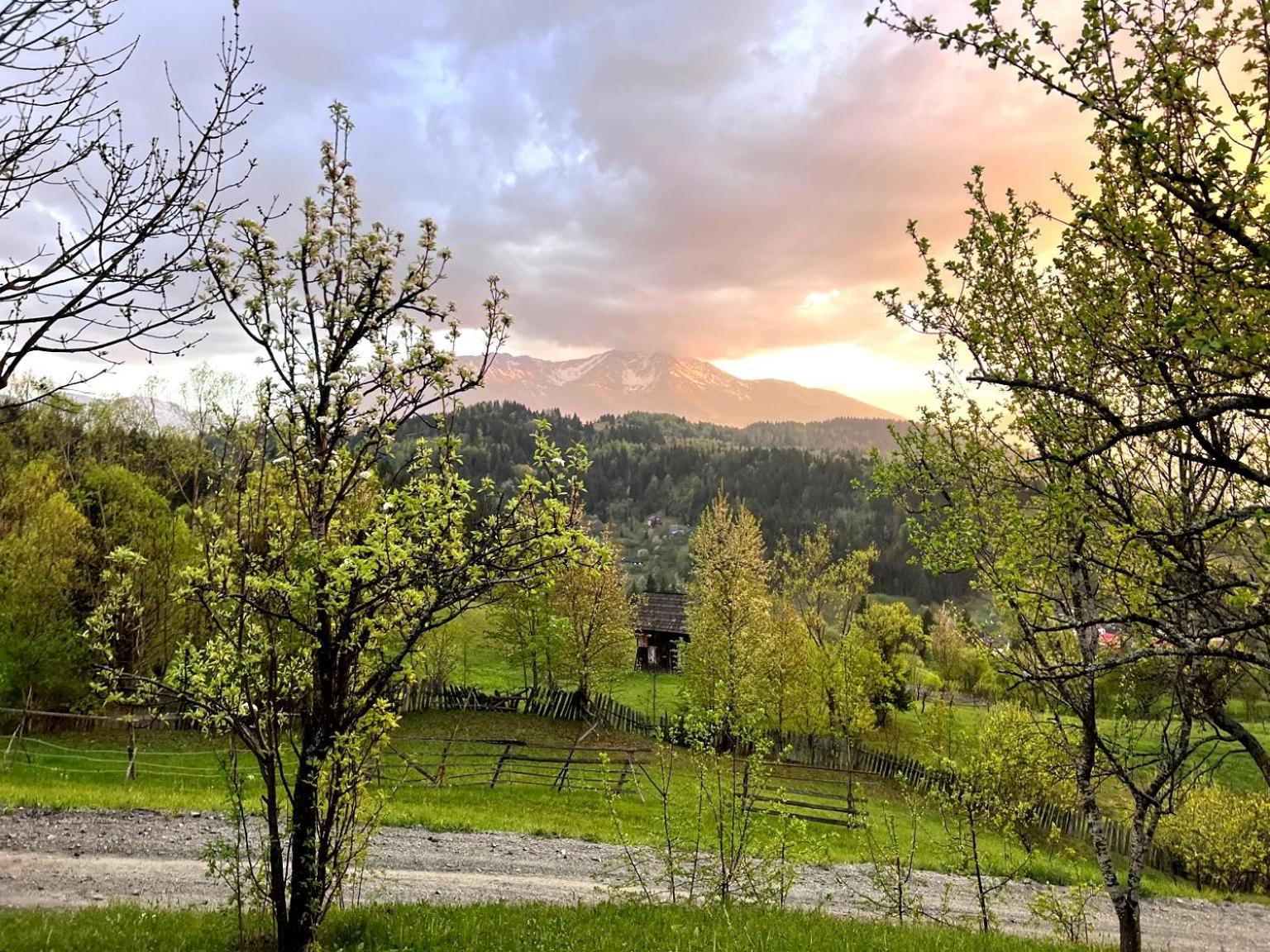 Vila Doinita House Borşa Exteriér fotografie